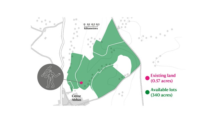 Map of Cerne Abbas displaying existing and available lots